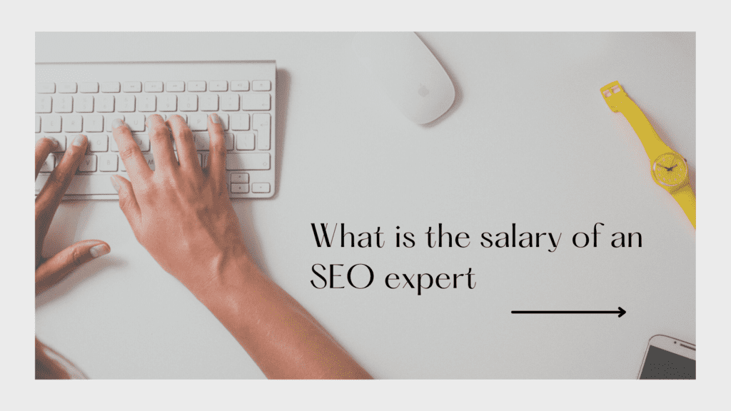 seo expert