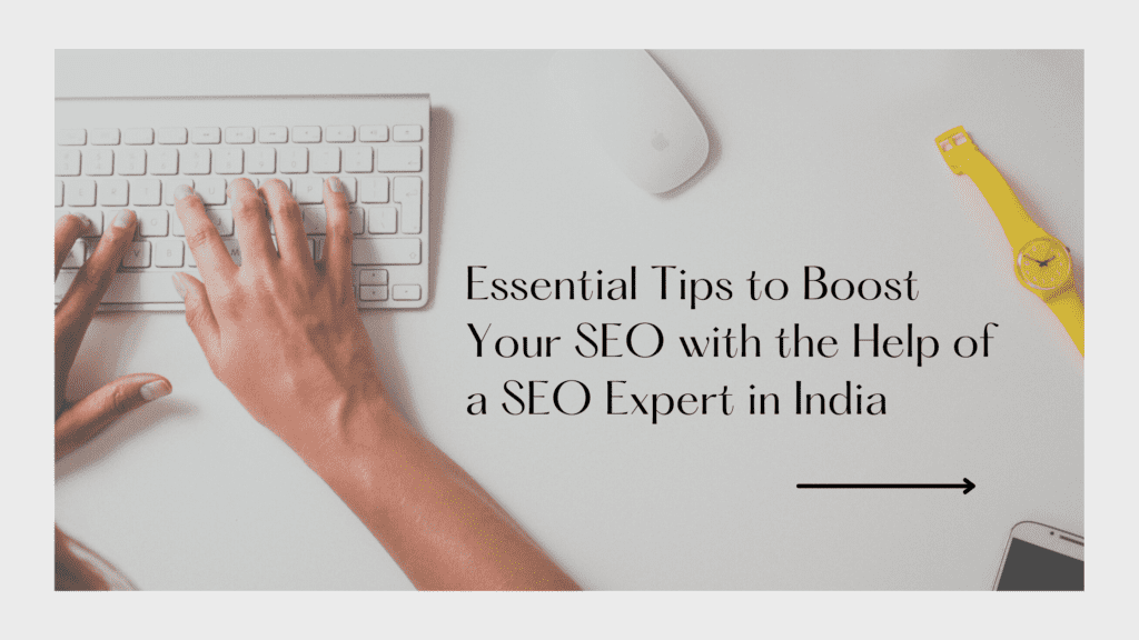 seo expert in india